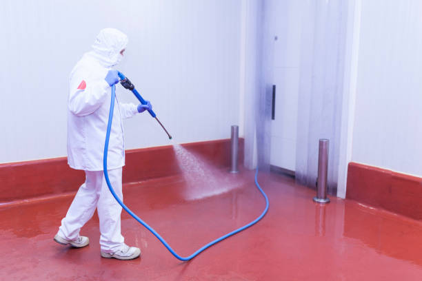 Reliable Elizabeth, CO Pressure Washing Solutions